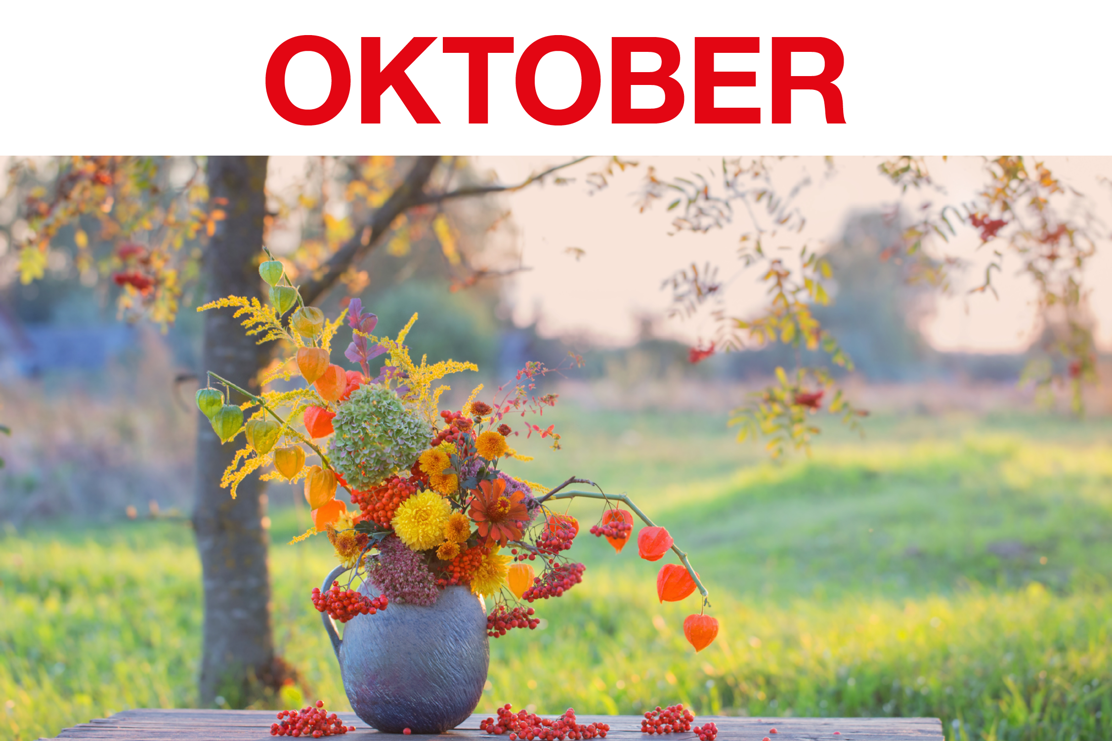 ASB 2024 Kalenderblatt 2500pxX1500px_Oktober_klein.png